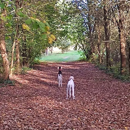 Panzió Il Giardino Segreto 3*