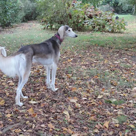 Panzió Il Giardino Segreto