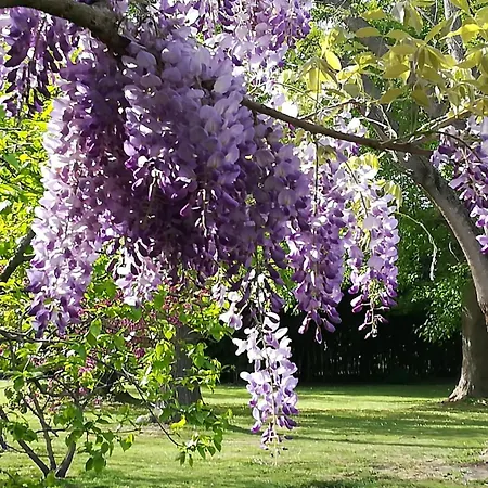 Il Giardino Segreto Guarda Ferrarese