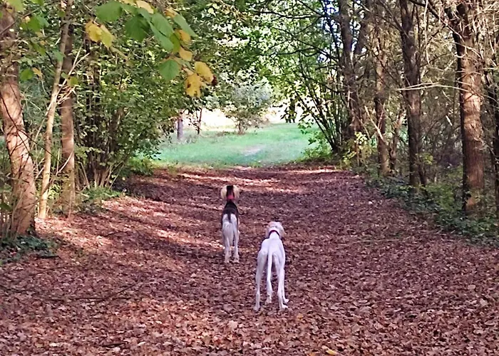 Oda ve Kahvaltı Il Giardino Segreto 3*