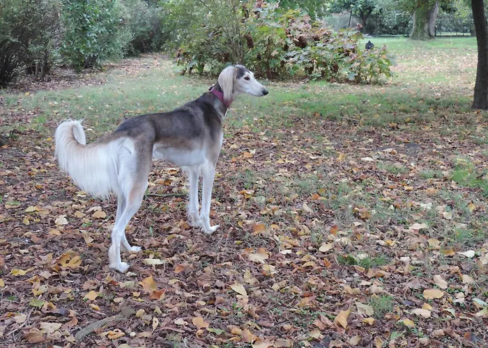 Oda ve Kahvaltı Il Giardino Segreto