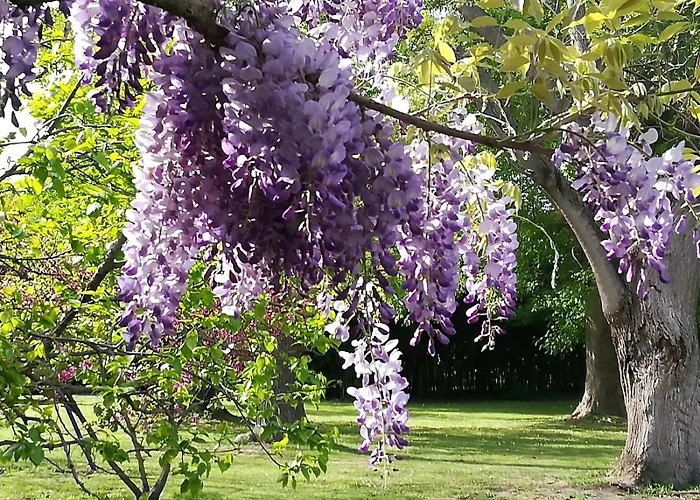 Il Giardino Segreto Guarda Ferrarese